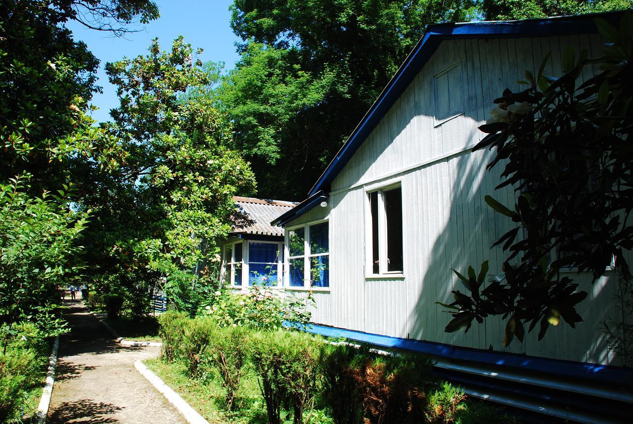 Hôtel Baza Otdyha Miya à Goudaouta Extérieur photo